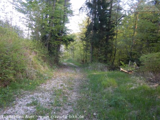 Optimierung einer Tour um den Hegaublick