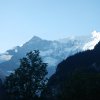 Grindelwald_2017_007