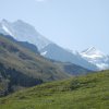 Grindelwald_2017_036