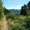 Schwarzwald 2016 071