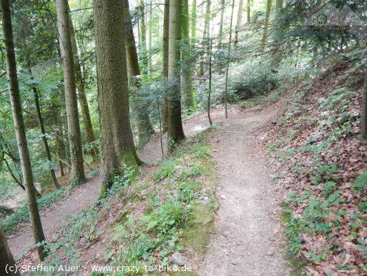 4 Tage Schwarzwaldtrails um Freiburg