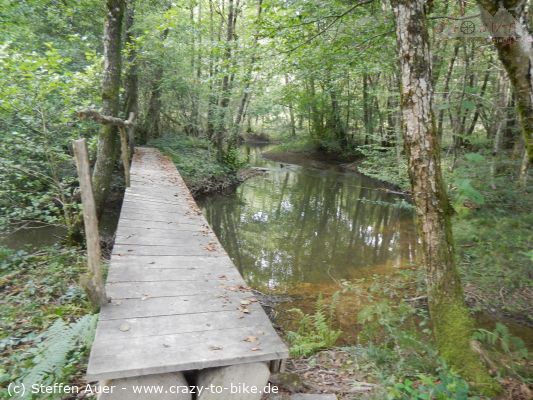 Jura: Von Ounans durch den Fôret de Chaux