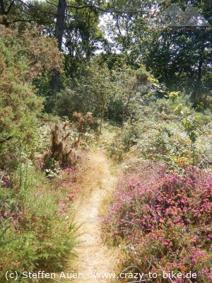 Bretagne: Megalithen, Dolmen und Menhire
