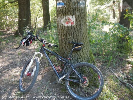 Am Donauknie in Ungarn