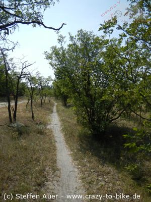 Neusiedler See: Von Podersdorf nach Rust